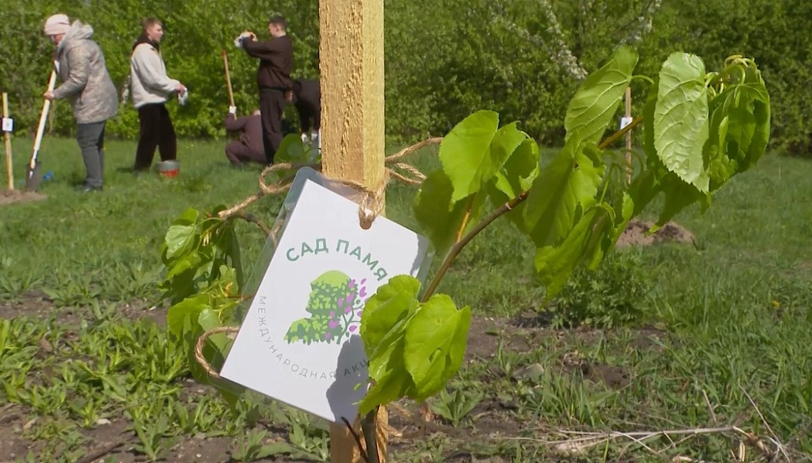 Пензенцы высадили более 60 деревьев в сквере «Семейный»
